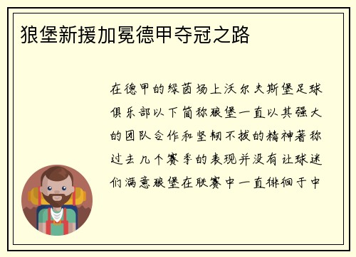 狼堡新援加冕德甲夺冠之路